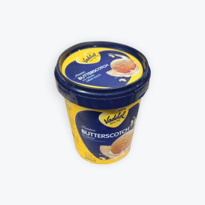 Butterscotch Ice Cream 500 ml - Vadilal