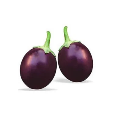 Baigan, Indian Small Eggplant