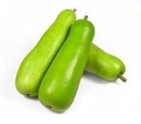 Lauki Doodhi, Bottle Gourd